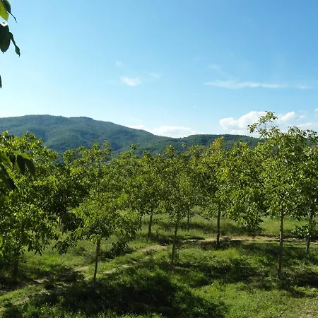 Scenic In Restored Retreat